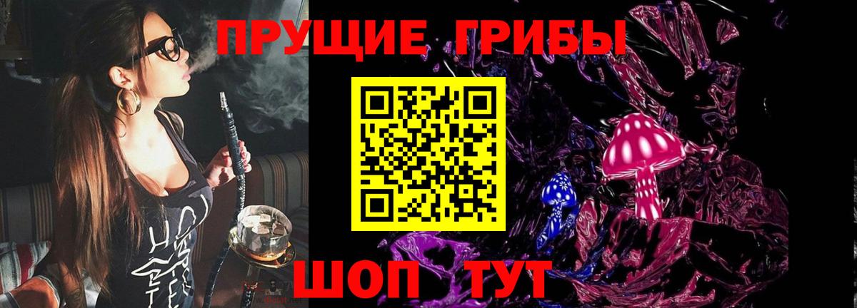 Галлюциногенные грибы Psilocybe Вологда
